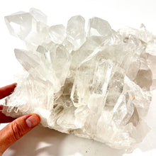 Load image into Gallery viewer, Large high-grade clear quartz crystal cluster 8kg | ASH&amp;STONE Crystal Shop Auckland NZ
