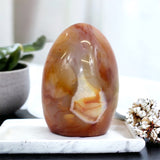 Carnelian crystal polished free form | ASH&STONE Crystals Shop Auckland NZ