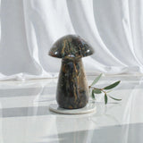 Ocean Jasper Mushroom | ASH & STONE premium online crystals. Free express shipping nz