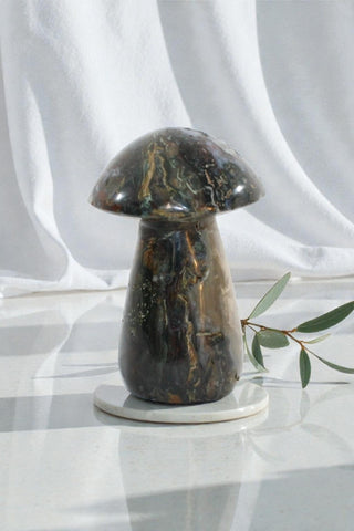 Ocean Jasper Mushroom | ASH & STONE premium online crystals. Free express shipping nz