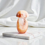 Carnelian Mushroom | ASH & STONE Premium onine crystals. free express shipping NZ