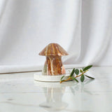 Banded Calcite Mushroom | ASH & STONE premium online crystals. Free express shipping NZ . 