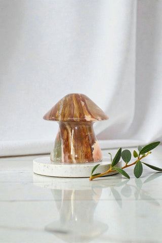 Banded Calcite Mushroom | ASH & STONE premium online crystals. Free express shipping NZ . 
