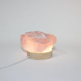 Rose quartz crystal lamp | ASH & STONE Crystals online. Free express shipping. 