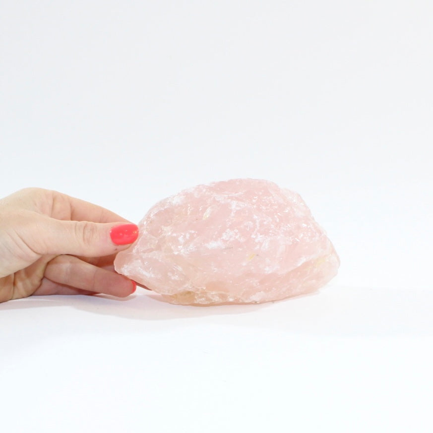 Rose Quartz Crystal Lamp | ASH&STONE Crystal Shop Auckland  Free express shipping. Shop online. AfterPay available. 