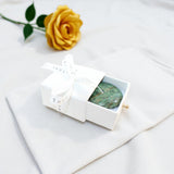 Ruby Fuchsite flatstone crystal