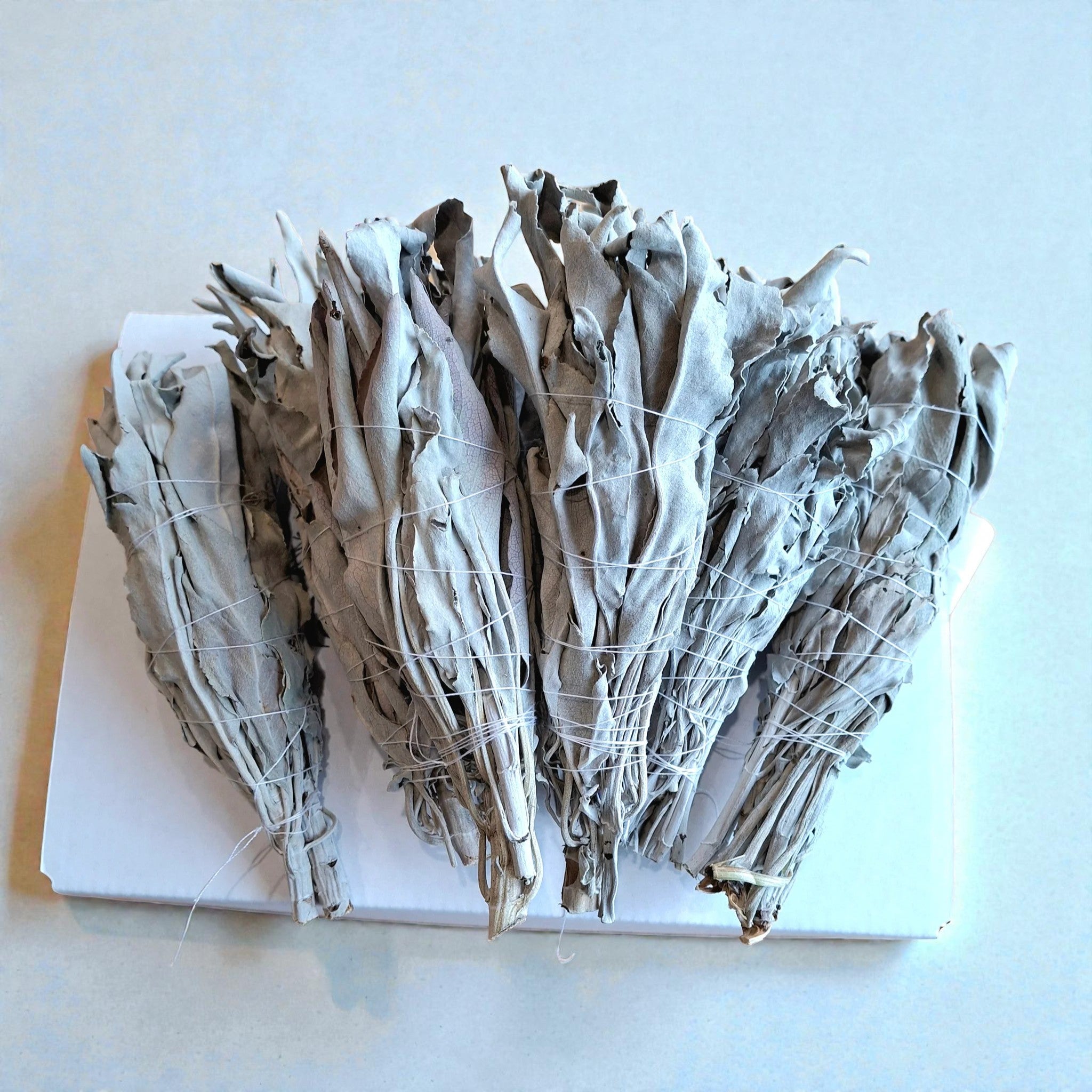 NZ grown organic white sage wand | ASH&STONE Auckland NZ