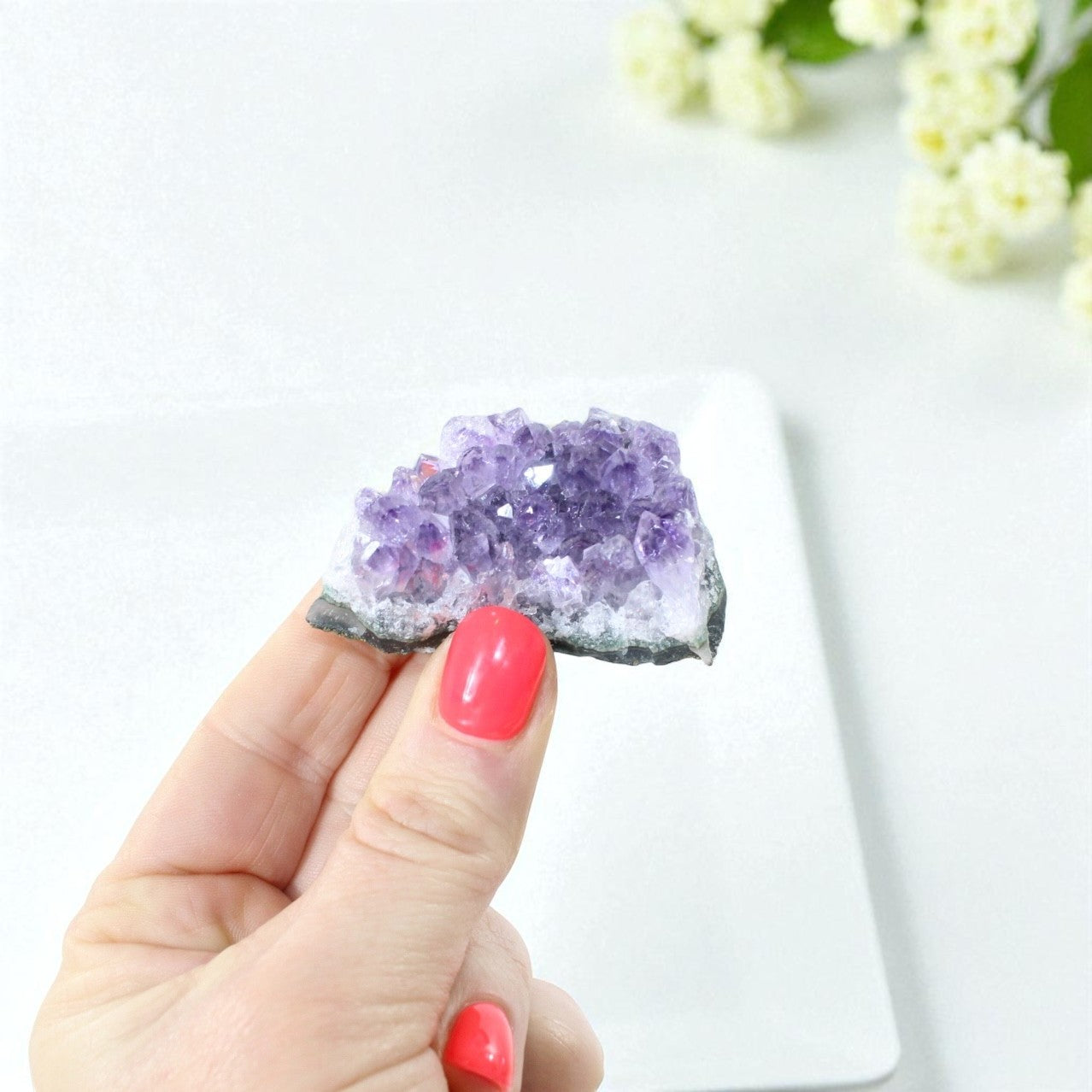 Amethyst Crystal Cluster A-grade | ASH & STONE for all your crystals, free express shipping across NZ 