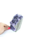 Amethyst Cluster | ASH & STONE premium crystals online FREE EXPRESS SHIPPING NZ 