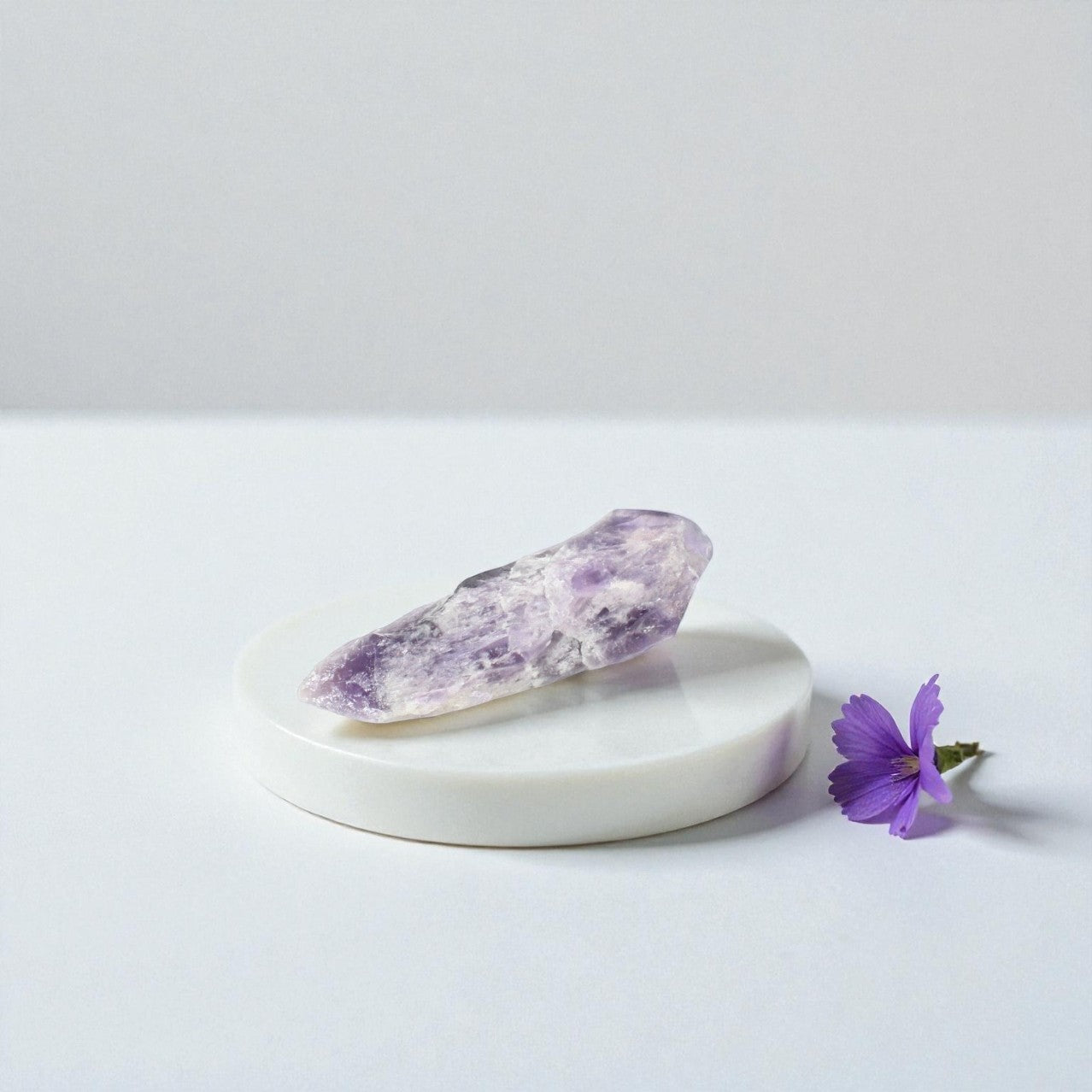 Amethyst Bahia crystal | ASH & STONE premium crystals online. 
