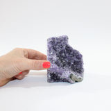 Amethyst Crystal Cluster. Free express shipping. Buy online from ASH&STONE  Auckland NZ. AfterPay available.