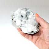 Apophyllite Cluster Crystal | Free express shipping. Buy high quality ethical crystals online at ASH&STONE crystal shop Auckland NZ. AfterPay available.