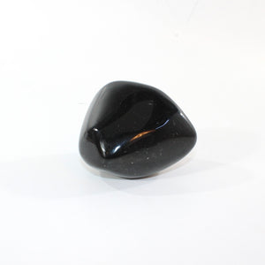 Black obsidian polished galet | ASH&STONE Crystal Shop Auckland NZ