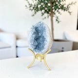 Celestite Crystal Cluster Egg | ASH&STONE premium online crystals. Free express shipping NZ