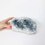 Celestite Crystal Cluster 3.4kg | ASH&STONE Crystals online. Free express shipping.