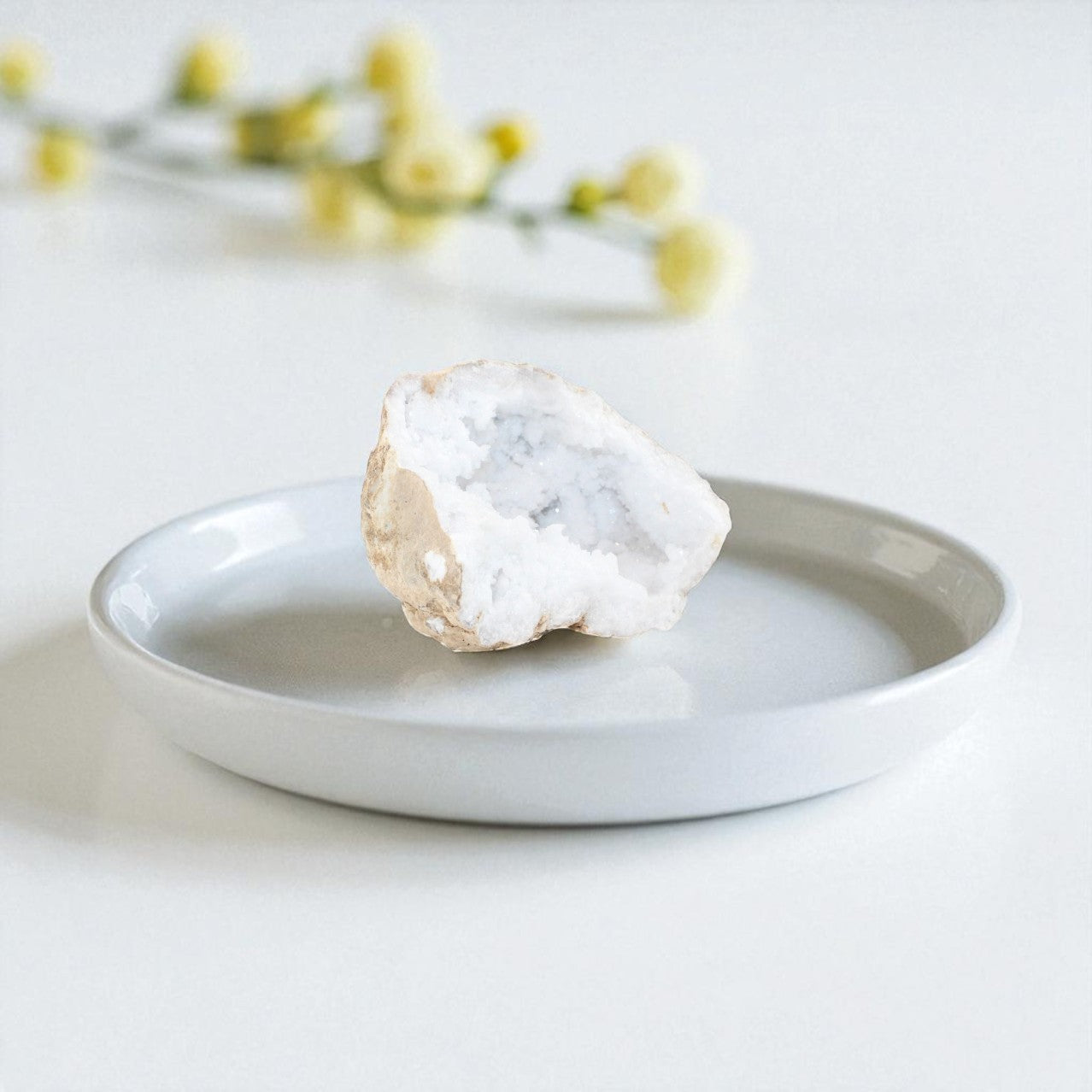 Clear Quartz Crystal Geode . Free express shipping. Shop crystals online from ASH&STONE's Auckland Crystal Shop NZ. AfterPay available.