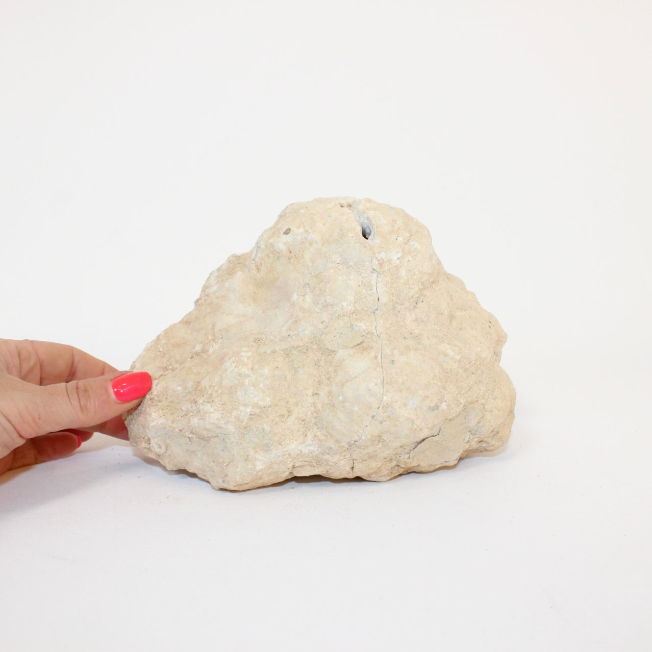 Clear Quartz Geode | ASH & STONE premium online crystal gifts. Free express shipping NZ 