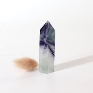 Fluorite polished crystal generator  ASH&STONE Crystals Shop Auckland NZ