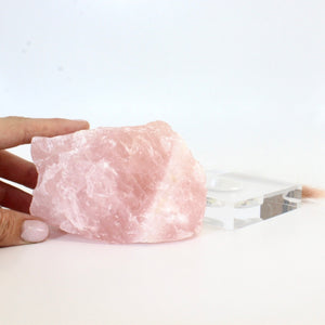 Rose quartz crystal lamp on perspex LED base | ASH&STONE Crystals Shop Auckland NZ