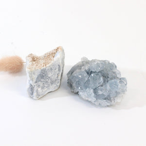 Angelic connection crystal pack | ASH&STONE Crystals Shop Auckland NZ