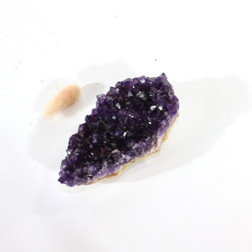 A++ Grade amethyst crystal cluster | ASH&STONE Crystals Shop Auckland NZ