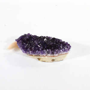 A++ Grade amethyst crystal cluster | ASH&STONE Crystals Shop Auckland NZ