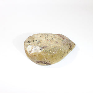 Agate crystal geode half 1.3kg | ASH&STONE Crystals Shop Auckland NZ