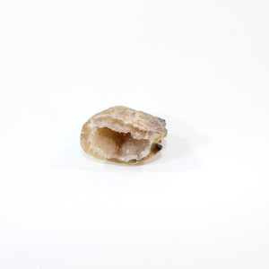 Agate crystal geode half | ASH&STONE Crystals Shop Auckland NZ