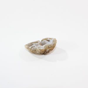 Agate crystal geode half | ASH&STONE Crystals Shop Auckland NZ