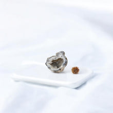 Load image into Gallery viewer, Agate crystal geode half | ASH&amp;STONE Crystals Shop Auckland NZ
