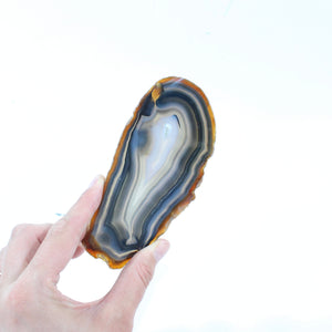 Agate crystal slice | ASH&STONE Crystal Shop Auckland NZ