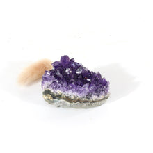 Load image into Gallery viewer, A++ Grade amethyst crystal cluster | ASH&amp;STONE Crystals Shop Auckland NZ
