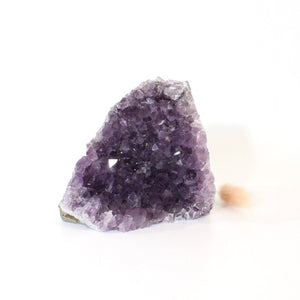 Amethyst crystal cluster with cut base | ASH&STONE Crystals Shop Auckland NZ