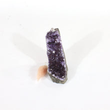 Load image into Gallery viewer, Amethyst crystal cluster with cut base | ASH&amp;STONE Crystals Shop Auckland NZ
