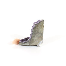 Load image into Gallery viewer, Amethyst crystal cluster with cut base | ASH&amp;STONE Crystals Shop Auckland NZ
