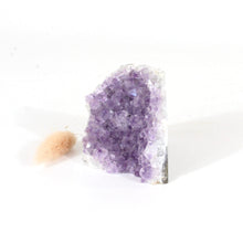 Load image into Gallery viewer, Amethyst crystal cluster with cut base | ASH&amp;STONE Crystals Shop Auckland NZ
