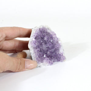 Amethyst crystal cluster with cut base | ASH&STONE Crystals Shop Auckland NZ