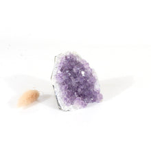 Load image into Gallery viewer, Amethyst crystal cluster with cut base | ASH&amp;STONE Crystals Shop Auckland NZ
