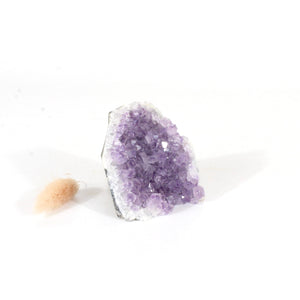 Amethyst crystal cluster with cut base | ASH&STONE Crystals Shop Auckland NZ