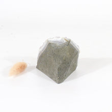 Load image into Gallery viewer, Amethyst crystal cluster with cut base | ASH&amp;STONE Crystals Shop Auckland NZ
