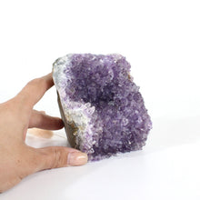 Load image into Gallery viewer, Amethyst crystal druzy with cut base 1.2kg | ASH&amp;STONE Crystals Shop Auckland NZ
