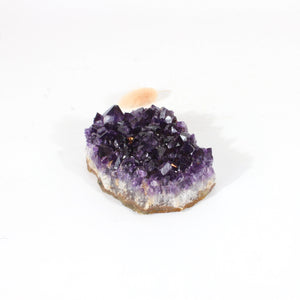 A+ Grade amethyst crystal cluster | ASH&STONE Crystals Shop Auckland NZ