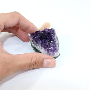 A+ Amethyst crystal cluster | ASH&STONE Crystal Shop Auckland NZ