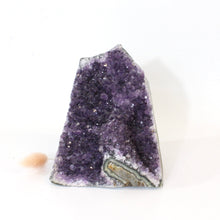 Load image into Gallery viewer, Amethyst crystal druzy with cut base 1.8kg | ASH&amp;STONE Crystals Shop Auckland NZ
