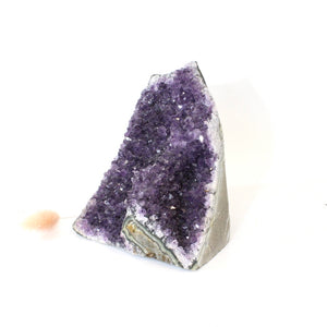 Amethyst crystal druzy with cut base 1.8kg | ASH&STONE Crystals Shop Auckland NZ