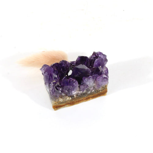 A++ Grade amethyst crystal cluster | ASH&STONE Crystals Shop Auckland NZ