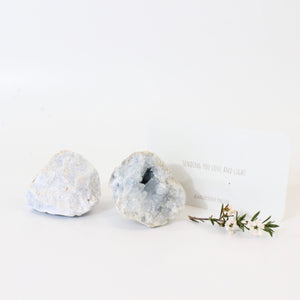 Angelic connection crystal pack | ASH&STONE Crystals Shop Auckland NZ