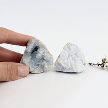 Load image into Gallery viewer, Angelic connection crystal pack | ASH&amp;STONE Crystals Shop Auckland NZ
