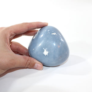 Angelite polished crystal | ASH&STONE Crystal Shop Auckland NZ