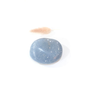 Angelite polished crystal palm stone | ASH&STONE Crystals Shop Auckland NZ